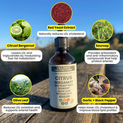 Red Yeast Rice Cholesterol Cleanse